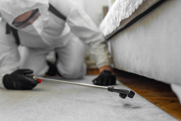 Professional Termite Control technician working in Troy, IL
