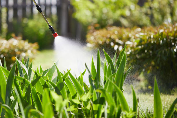 24/7 Emergency Termite Control experts in Troy, IL